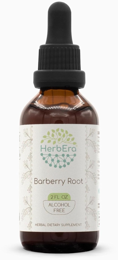 Racine de barberry B60 extrait d'herbe sans alcool Teinture, gouttes de liquide concentré Berberis Vulgaris (2 fl oz)