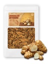 (8oz) Fermier Reine rôti Jérusalem Artichaut Helianthus Tuberosus riche Inuline Polyphénol Dietary Fibre