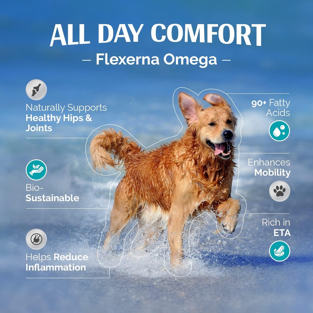 Supplément mixte pour chiens - Riche en extrait de moules à l'état vert - Huile de poisson - Support Oméga-3 - Mobilité et confort formulés par les vétustes - Pompe liquide 8 Oz