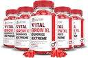 Laboratori giustificati (5 Pack) Vital Grow XL Extreme 2000MG Performance Gummies Formula avanzata formulata con ACV Pomegranate Beet Juice Powder B12 Vegan Non OGM 300 Gummys