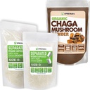 XPRS Nutra Getrennte Größe 0 Kapseln (1000 Zähler) mit Chaga Powder (8 Unze) Bundle