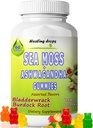 Sea Moss Gummies Ashwagandha con Bladderwrack Burdock Root, Alkaline Keto Vegan Non OGM Diet, Latticini e Gluten Free – da Healing Drops