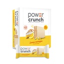 Power Crunch Protein Wafer Bars, High Protein Snacks mit leckerem Geschmack, Zitronenmelisse, 1.4 Unze (12 Count)