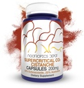 Nootropics Dépôt Cistanche Capsules Supercritiques d'extrait de CO2 , 20% Echinacoside + 20% Verbascoside (acétoside) , 60 Compte