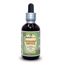 Herbal Terra LLC Sting Nettle (Urtica Dioica) Glycerit, Organic Dried Leaves Alkoholfreie Flüssigextrakt 2 oz