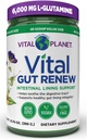 Vital Planet - Vital Gut Renew Powder Supplement für Leckgutreparatur mit L-Glutamin, Marshmallow und Ginger Root, DGL Licorice Root und Organic Aloe Vera, L Glutamine 6000mg 13.76 Unze