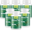 1000 MG Gentle Detox Cleanse, Natural Toxin Flush für Leber, Gut & Colon, Antioxidant & Verdauungsunterstützung, Zeolit, Schnell-Acting Detoxification Complex für Frauen & Männer – 480 Kapseln