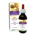 Naturalma Maca oder Peruvian Ginseng (Lepidium meyenii oder L. peruvianum) Wurzel Alkoholfreie Tinktur - 4 fl oz Flüssiger Extrakt in Tropfen - Kräuterergänzung - Vegan