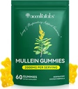 Mullein Gummies für Lung Cleanse,Natural Mullein für Lung Cleanse Support,Lung Cleanse für Raucher,Mullein Kräuterergänzungen mit Chlorophyll (60 Chews)