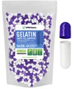 XPRS Nutra Größe 0 Leere Kapseln - 1000 Graf Leere Gelatine Kapseln - Pillen DIY Kapsel Füllung - Pure Bovine Pill Gel Kapseln für Do-It-Yourself Ergänzungen (Purple/White)