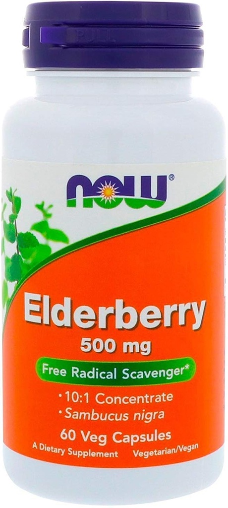MAINTENANT Aliments - Extrait de mûrier 500 mg 60 capsules