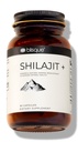 Blisque – Pure Himalayan Organic Shilajit Capsules d'extrait de résines authentiques et naturelles Contient de l'acide fulvic et des minéraux traces. 90 Capsules