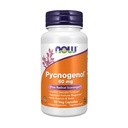 JETZT Nahrungsergänzungsmittel, Pycnogenol 60 mg (ein einzigartiges Kombo von Proanthocyanidinen aus französischer Seezunge) mit Acerola & Rutin Powder, 50 Veg Kapseln