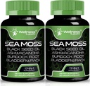 Estratto di caffè verde, 17-in-1, Seamoss Black Seed Oil, 240 Count, Ashwagandha Burdock Root Organic Bladderwrack Capsule | Organic Sea Moss Advanced, Immune and Blood Pressure Support - 2 Pack