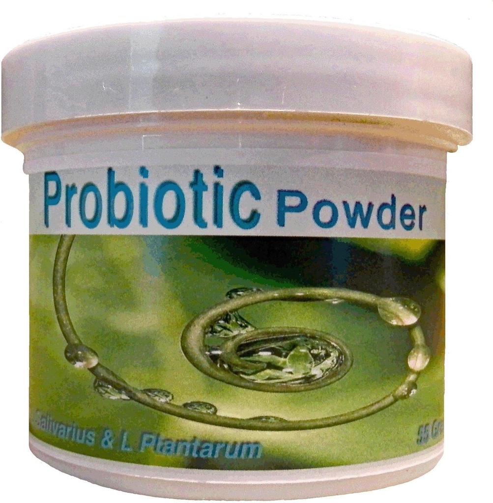 Probiotika Pulver 55 Gramm