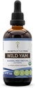 Segreti della Tribe Wild Yam USDA Organic | Alcohol-Free Extract, High-Potency Herbal Drops, Digestione | Realizzato in 100% certificata Organic Wild Yam (Dioscorea Villosa) Dried Root 4 oz