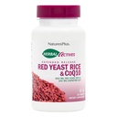 NaturesPlus Herbal Actives Rice rosso lievito + CoQ10 Extended Release - 30 compresse, Confezione da 2 - Antiossidante + Supporti General Well-Being - Vegetariano, Gluten Free - 60 Total Servings