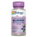 SOLARAY Extrait de myrtilles 160 mg, Santé des yeux et support de circulation, 36% Anthocyanosides Plus Blueberry, Vegan, 30 VegCaps