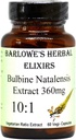 Barlowe's Kräuter Elixier Bulbine Natalensis |10:1 Extrakt | 360mg pro Kapsel | 60 Veggie Kapseln | Gefickt in Glas | Stearate Kostenlos