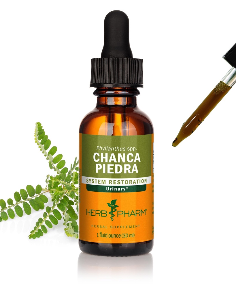 Estratto di liquido di Herb Pharm Chanca Piedra per il supporto del sistema urinario, 1 Fl Oz