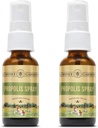 Honey Gardens Bee Propolis Throat Spray | mit Apitherapy Raw Honey, Licorice Root und Usnea | 50 Servierungen | 1 Fl Oz | Paket von 2