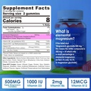 Magnesio Supplemento 500mg, Magnesio Complesso Gummies w/Magnesium Glycinate, Malate, Citrate, D3, B6, B12 per il sonno, Migraine Relief, Muscle & Bone, Ultimate Absorption Magnesium Supplement, 2 Pack