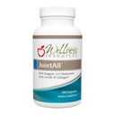 Wellness Resources JointAll - Supplément de soutien à l'acide hyaluronique naturel, collagène UC-II, glucosamine, chondroïtine pour la force et le confort des articulations (120 capsules) ...