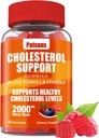 1 pacchetto di supporto del colesterolo Gummies, che contiene 2000MG di Sterols & Sterols delle piante, Colesterolo complesso Gummies, Supporta livelli di colesterolo sano, Supporto di energia, Aroma di bacche miste, 60 conteggi