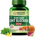 Generisches pflanzenbasiertes DHT Blocker mit Güte der Nettle Blätter | für Männer und Frauen - 60 Veg Kapseln