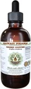 Grüner Kaffee Alkoholfreie Flüssigkeit Extrakt, Grüner Kaffee (Coffea Arabica) Getrocknete Bohnen Glycerite Hawaii Pharm natürliche Kräuterergänzung 4 oz