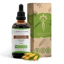Segreti del Tribe Pine Pollen Testosterone Alcohol Liquid Extract, Wildcrafted Pine Pollen (Scots Pine, Pinus sylvestris) Dried Pollen (4 FL OZ)