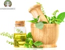 Tulsi Pulver Heilige Basilikum Pulver 100 Gm | Ocimum Sanctum | Tulsi Blätter Pulver | Tulsi Blatt | Vegan | Non GMO | Glutenfrei