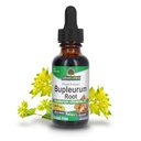Nature’s Answer Bupleurum Root Bupleurum Chinense - Natural Herbal Supplement - Gluten Alcohol-Free - Ideal for Liver Immunity Overall Health Wellbeing - 1000mg (1 FL Oz) |