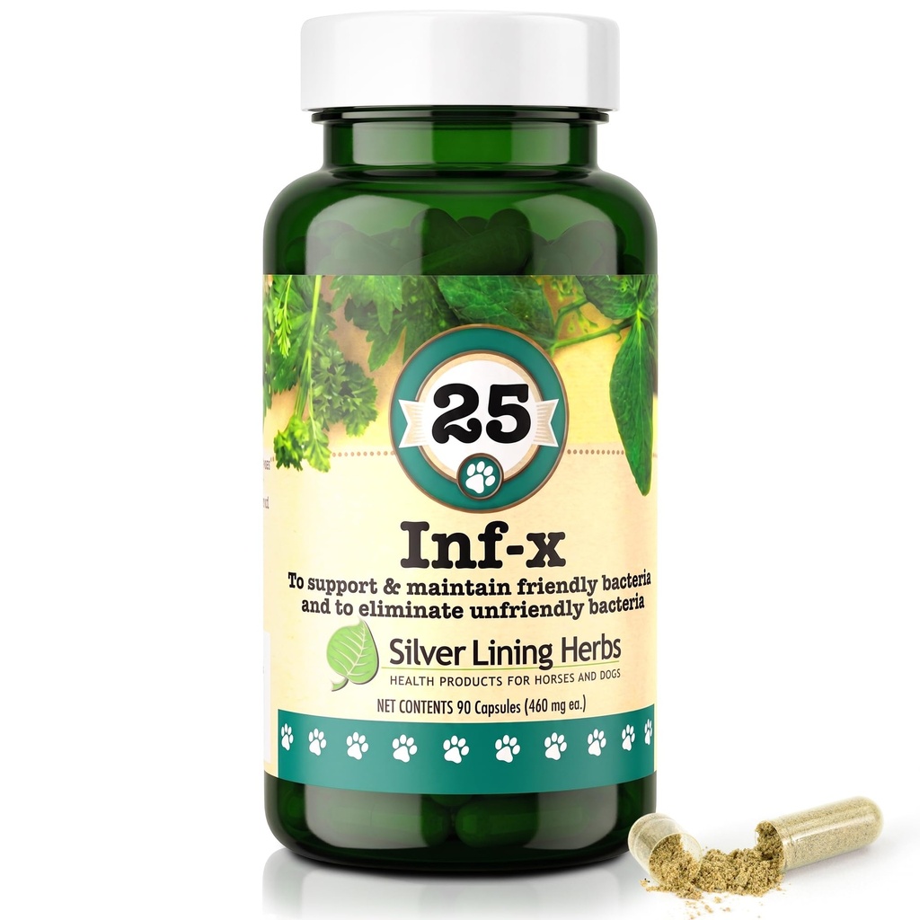 Silver Lining Herbs 25 Canine INF-X - Aide à maintenir des niveaux de digestion sains - Soutien naturel pour le processus normal de désintoxication - Supplément santé à base de plantes pour chiens - 90 capsules
