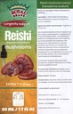 Reishi Mushroom Supplemento / Il nostro Reishi Mushroom Estratto promuove la longevità / Reishi Mushroom Tincture - 50ml / 1.7 Fl Oz
