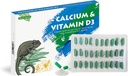 Kalzium Reptilien-Ergänzung mit Vitamin D3,Ideal für Bearded Dragons, Schildkröten &amp; Mehr