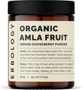 100% Bio Amla Powder 3.2 oz - 45 Servierungen - Indische Gänsebeere - Immunitätsunterstützung - Haut- und Haarregeneration - Reich an Vitamin C - direkt vom Bauernhof in Indien - Raw, Vegan und Glutenfrei