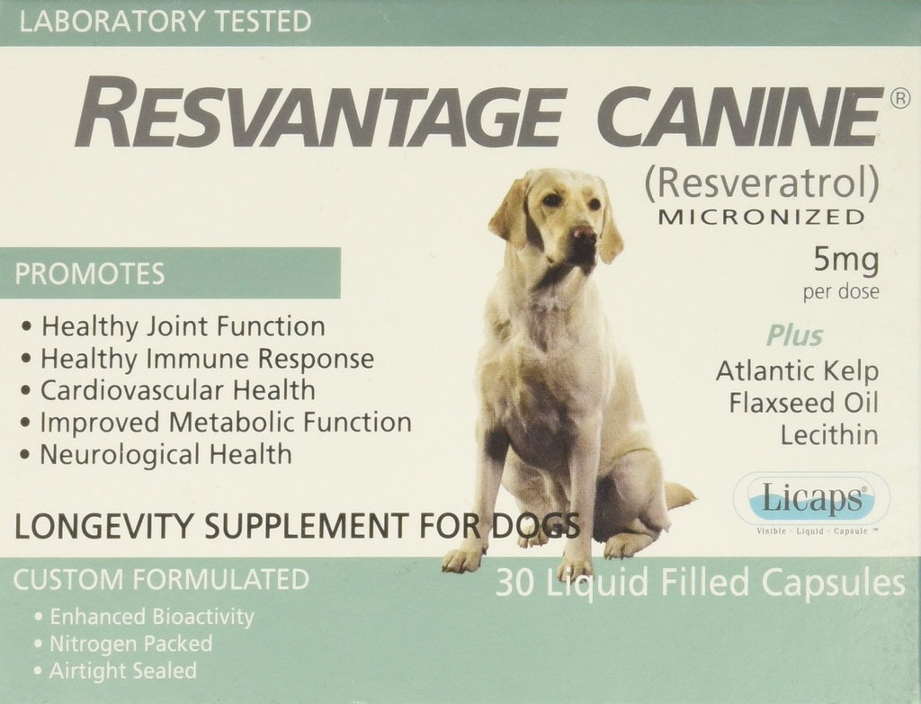 Nachhaltige Canine