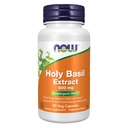 JETZT Nahrungsergänzungsmittel, Heilige Basilikum Extrakt 500 mg (Holy Basil ist eine Heilige Pflanze in Ayurveda), 90 Veg Kapseln