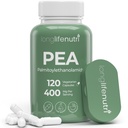 LongLifeNutri Palmitoylethanolamid (Pea) 400mg - 120 vegetarische Kapseln, Bio-Ergänzung für Discomfort Management, 4-Monats-Versorgung, Lab Getestet, Made in USA
