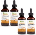 Estratto di radice di erbe Maxx Astragalus - Assorbenti di tintura liquida di massima resistenza Meglio di capsule o polvere, per il supporto immunitario e Clarity mentale - 4 bottiglie, 4 Oz Ogni (240 Serve)