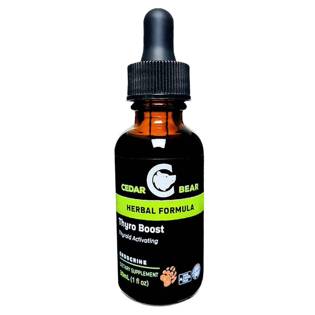 Zedernbär Thyro erhöhen eine flüssige Kräuterergänzung, die hilft, die Schilddrüsenfunktion und strukturelle Integrität zu aktivieren und zu bauen 1 Fl Oz