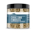 Earthborn Elements Caralluma Fimbriata 200 Kapseln, Rein und unverdünnt, keine Zusatzstoffe