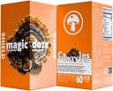 Magic DozeTM Tail Mushroom Capsules - 60 Kapseln für Immununterstützung & Verdauungsmedizin
