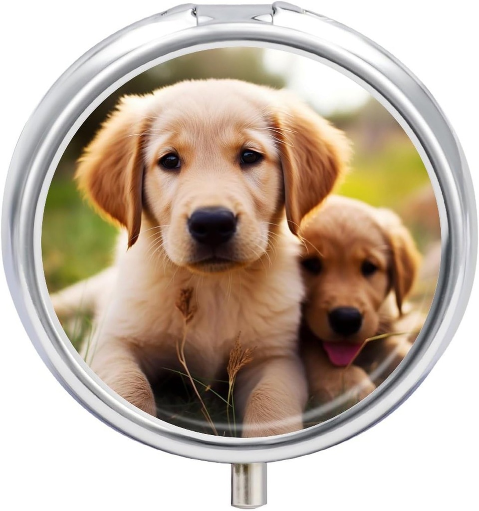 Pill Box 3 Compartment rotondo Pill Organizer giornaliero piccolo caso per viaggio carino Golden Retriever Puppy Metal Pill Container Portable Medicine Organizer per Pill Vitamins Fish Oil Supplement