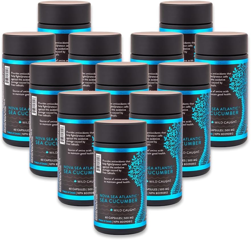 Integratore di cetrioli marini, Capsule di cetriolo di mare selvatico con vitamine della condroitina di Fucosylated Mineral — Supplemento naturale antiossidante per il bambino adulto anziano (Pack of 12)
