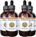 Prostate Support Dietary Supplement: Pygeum (Pygeum Africanum) Barque, Saw Palmetto (Serenoa Repens) Berry, Stinging Nettle (Urtica Dioica) Teinture de feuille (extrait liquide à base d'alcool) 4x4 oz