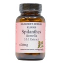 Spilanthes Acmella Extract | 600mg Per Capsule | Integratore di erbe per il benessere naturale & Balance | 60 capsule vegane | Stearate-Free, Vetro in bottiglia per la freschezza