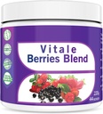 Go Nutra Antioxydant Berries Mélanger Superfood Smoothie Poudre avec Acai Maqui Goji & Plus Nutritional Boost Smoothie Mix 8oz