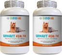 Dog Bladder Pillen - Dog Urinary Health Formula - Hilft mit Inkontinenz und Blasenproblemen - Immune Boost - Hund Urinary Health - 2 Flaschen (180 Bäume)